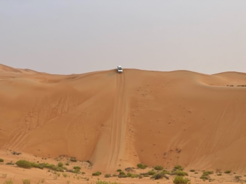 Qasr Al Sarab Desert Resort by Anantara - Activities - Car Desert Tour - 01