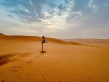 Qasr Al Sarab Desert Resort by Anantara - Desert View - 02