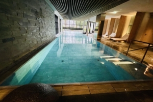 Parkhotel Egerner Hoefe - Parkhotel Egerner Hoefe - Spa Wellness - Pool - 2