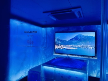 Parkhotel Egerner Hoefe - Spa - Ice Lounge - 1