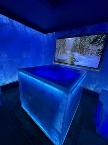 Parkhotel Egerner Hoefe - Spa - Ice Lounge - 3