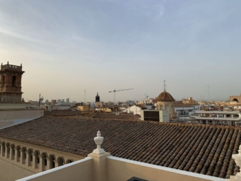 MYR Hotel Palacio Vallier - View from the roof top - 1